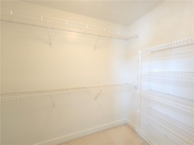 view of walk in closet