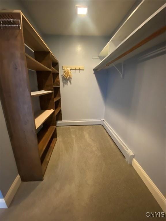 walk in closet featuring baseboard heating and carpet