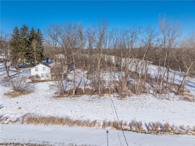 view of yard covered in snow