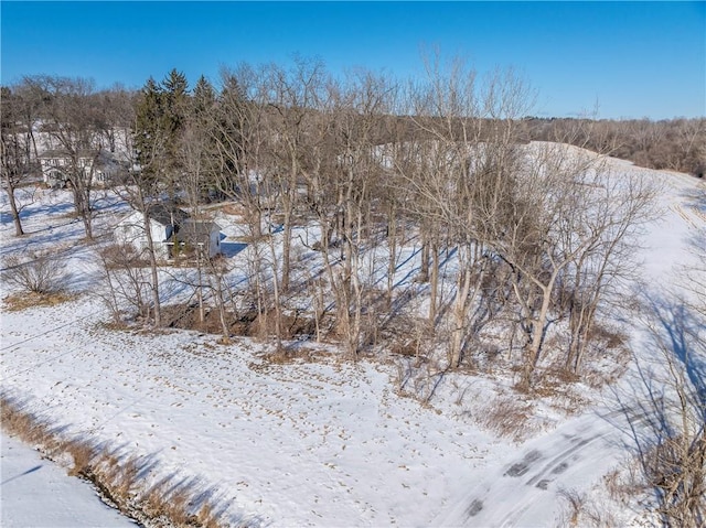 view of snow covered land