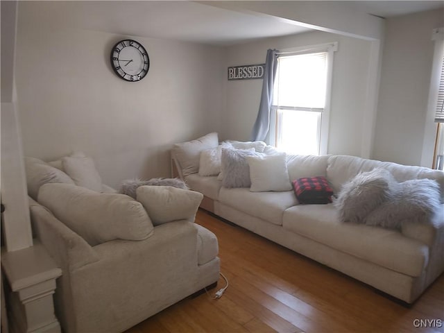 living area featuring wood finished floors