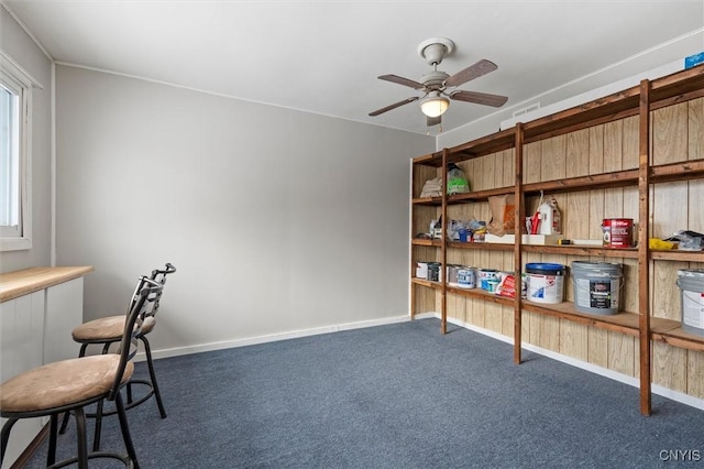 storage area with visible vents and a ceiling fan