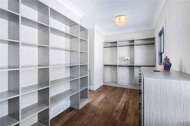 walk in closet with dark wood-style floors