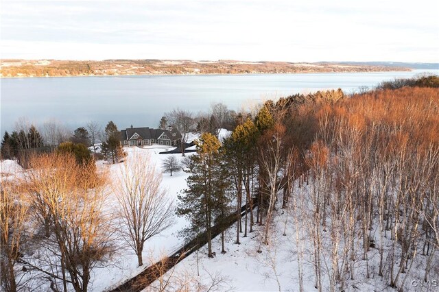 property view of water