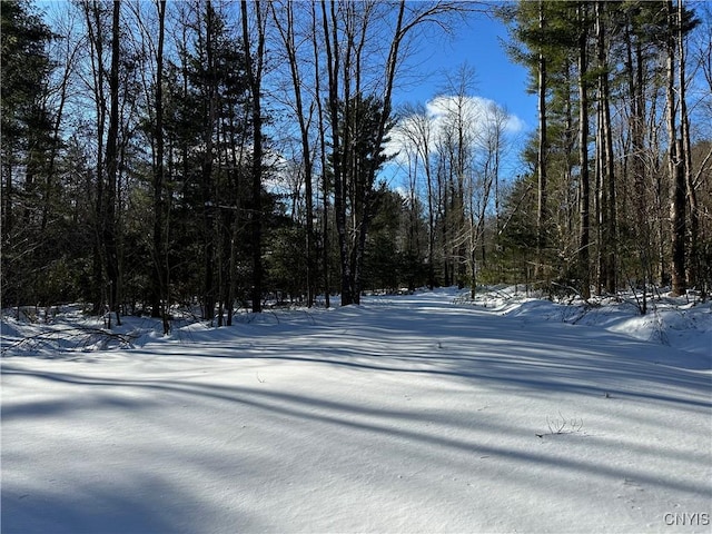 Stone Hill Rd, Williamstown NY, 13493 land for sale