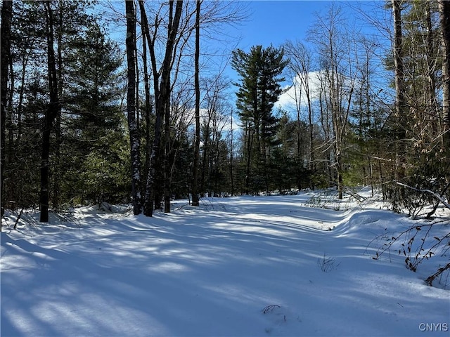 Listing photo 2 for Stone Hill Rd, Williamstown NY 13493