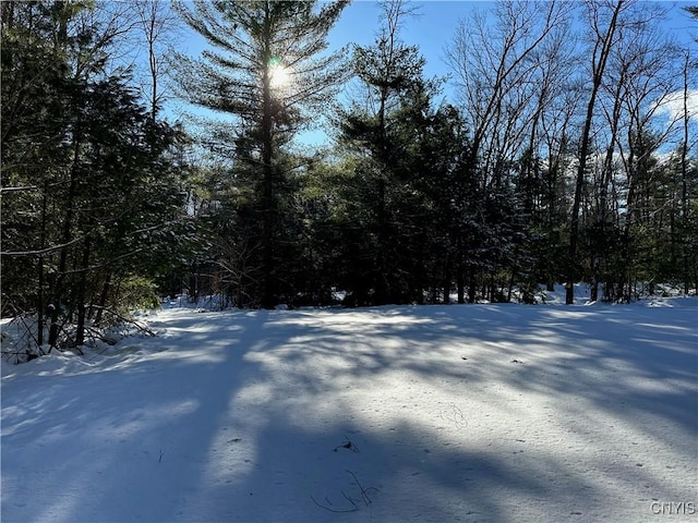 Listing photo 3 for Stone Hill Rd, Williamstown NY 13493