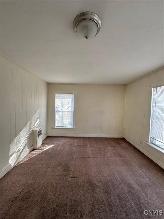 carpeted empty room featuring a wealth of natural light and baseboards