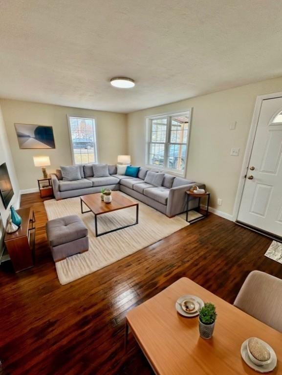 4027 Rockwell Ave, Horseheads, NY 14845 - living room featuring wood-type flooring, baseboards, and a textured ceiling