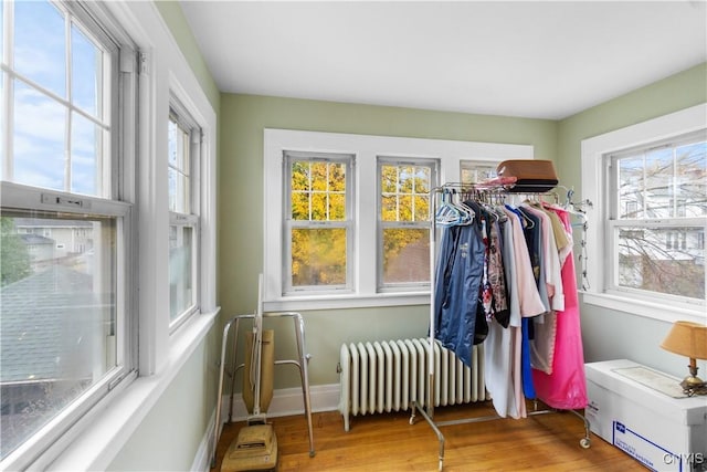 sunroom with radiator