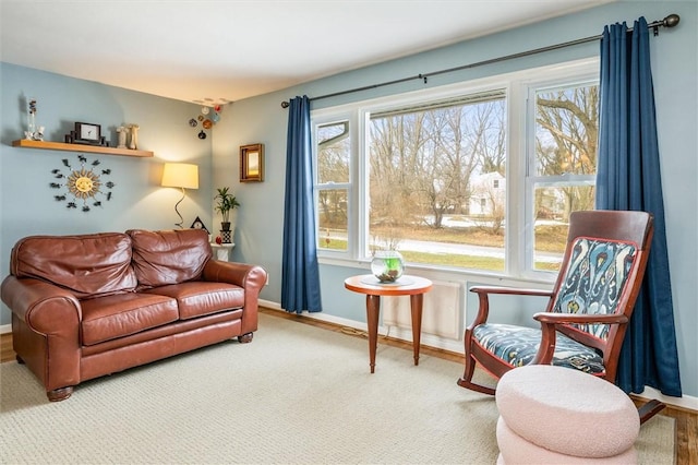 living area with carpet and baseboards