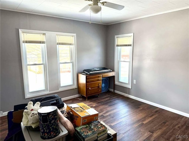 misc room featuring baseboards, dark wood finished floors, and crown molding