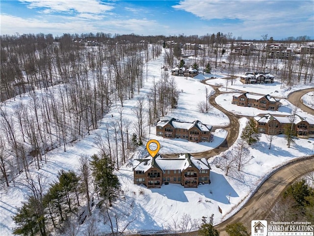 view of snowy aerial view