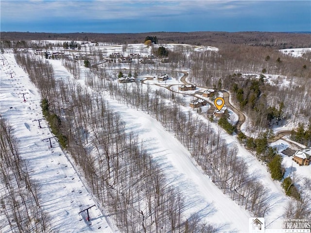 view of snowy aerial view