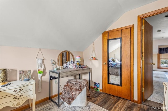 interior space with lofted ceiling, baseboards, and wood finished floors