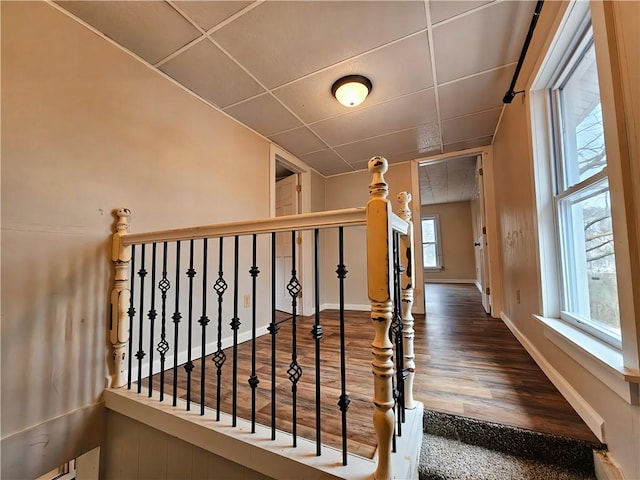 interior space with a drop ceiling, baseboards, and wood finished floors