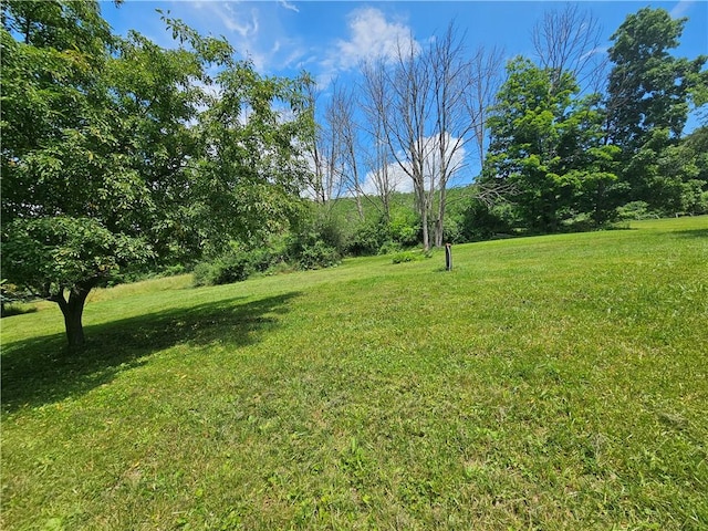 3011 Pierce Rd, Canisteo, NY 14823 - photo 6