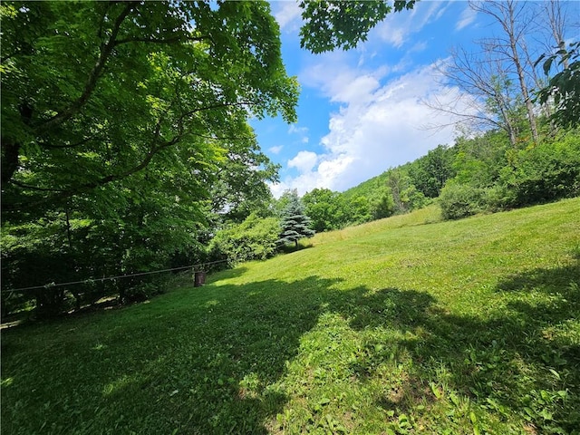 3011 Pierce Rd, Canisteo, NY 14823 - photo 7