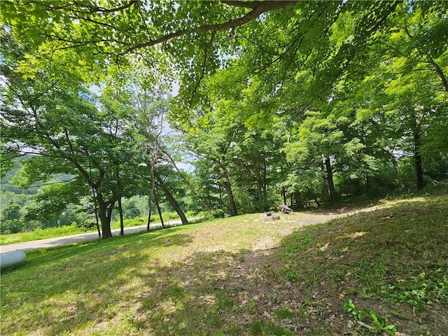 3011 Pierce Rd, Canisteo, NY 14823 - photo 8