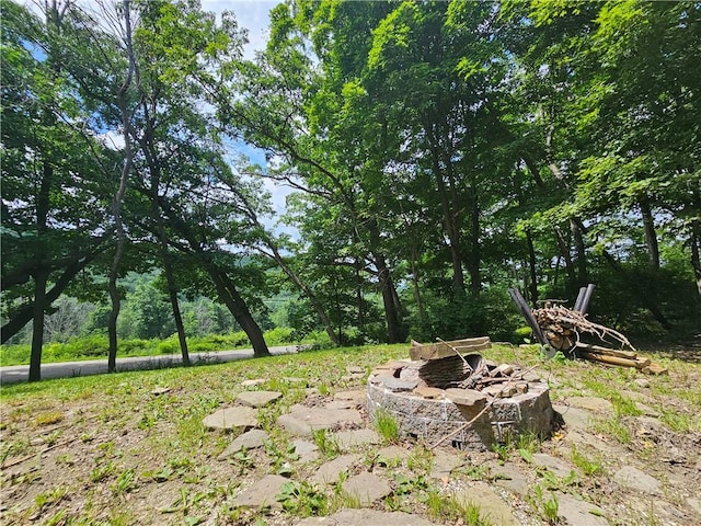 3011 Pierce Rd, Canisteo, NY 14823 - photo 11