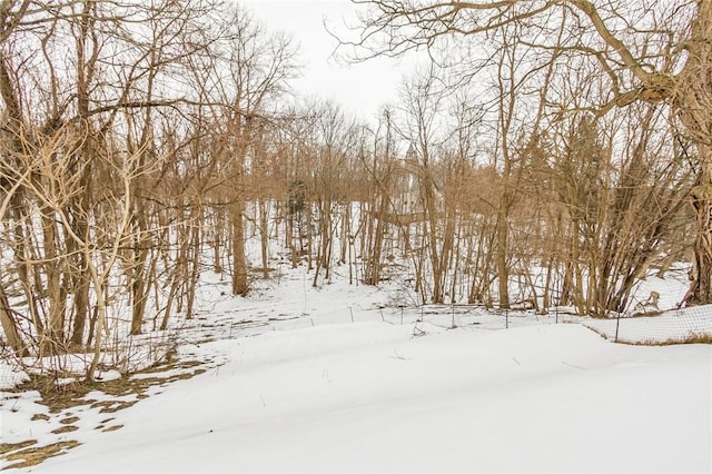 view of snowy yard