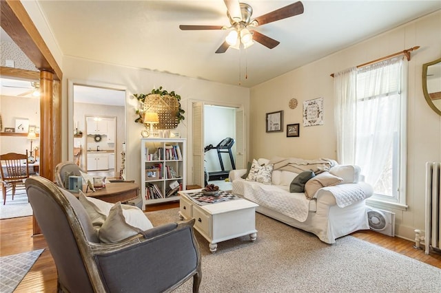 living area with a ceiling fan, radiator, and light wood-style flooring