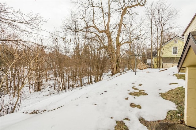 view of yard covered in snow