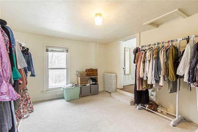 walk in closet featuring carpet floors, radiator heating unit, and attic access