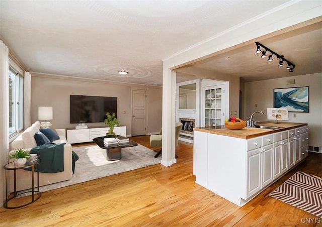 interior space with a brick fireplace, light wood-style flooring, and ornamental molding