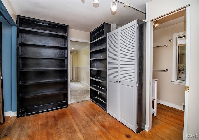 walk in closet featuring wood finished floors