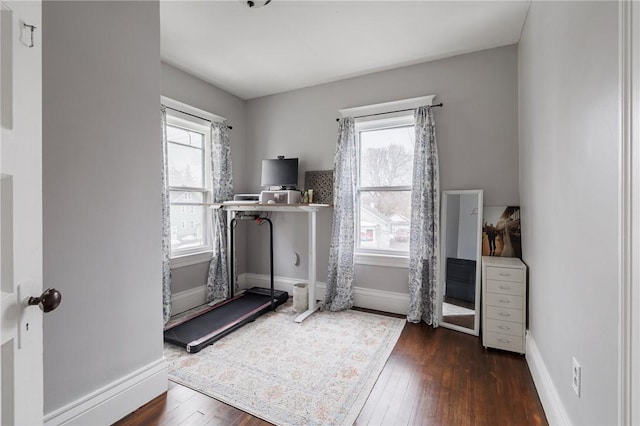 exercise area featuring plenty of natural light, baseboards, and hardwood / wood-style floors