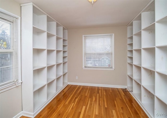 walk in closet featuring wood finished floors