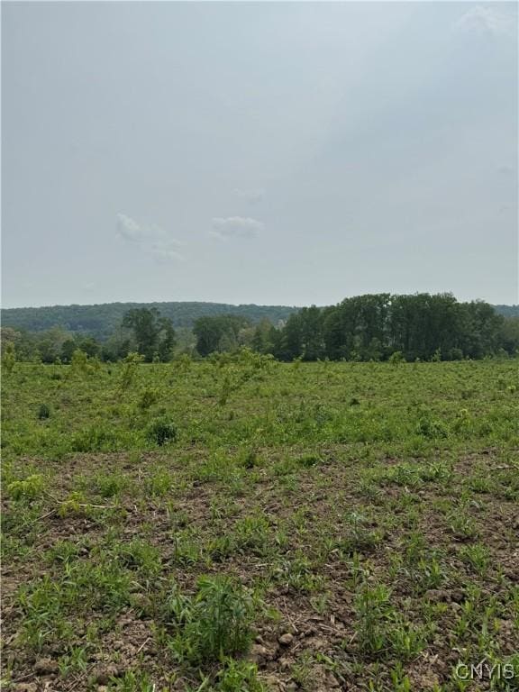 LOT4 Oran Delphi Rd, Pompey, NY 13104