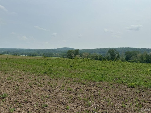 LOT4 Oran Delphi Rd, Pompey, NY 13104
