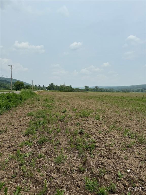 LOT4 Oran Delphi Rd, Pompey, NY 13104