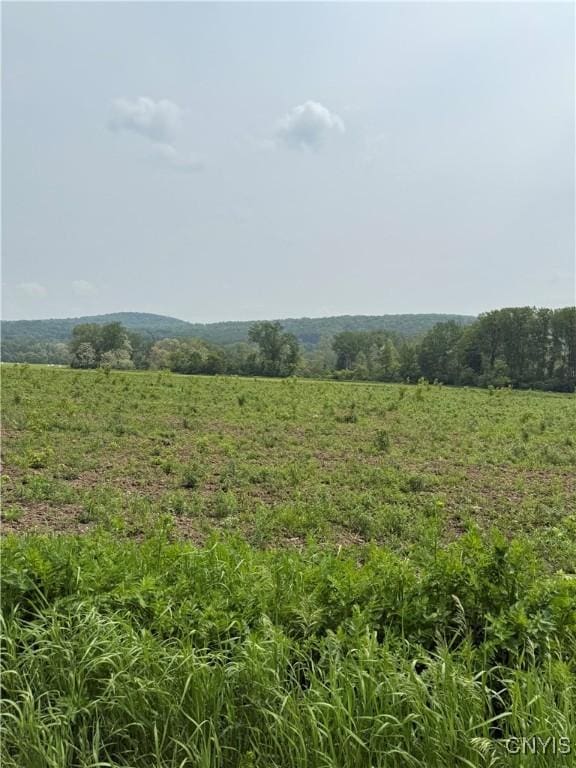 LOT4 Oran Delphi Rd, Pompey, NY 13104