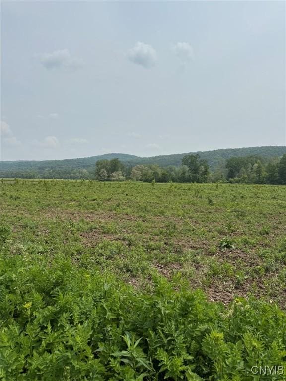 LOT4 Oran Delphi Rd, Pompey, NY 13104