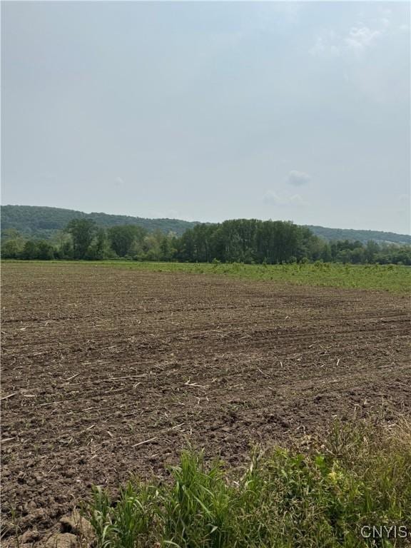 LOT4 Oran Delphi Rd, Pompey, NY 13104