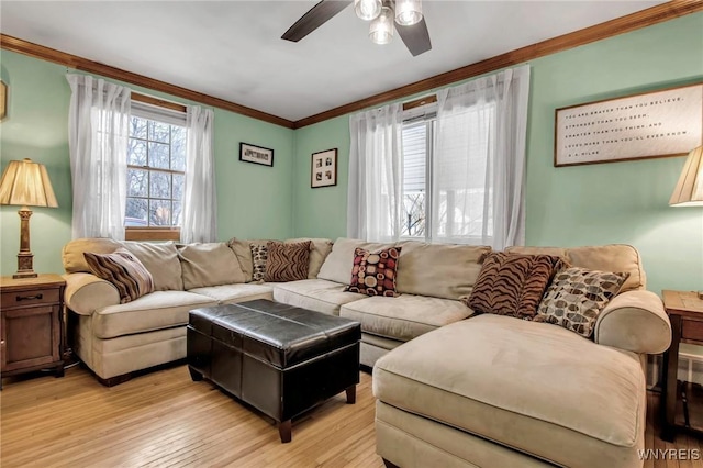 living room with light wood finished floors, a ceiling fan, and crown molding