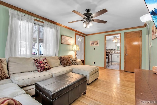 living room with ceiling fan, ornamental molding, and light wood-style flooring