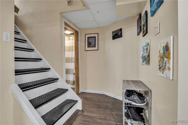 stairway featuring baseboards, a drop ceiling, and wood finished floors