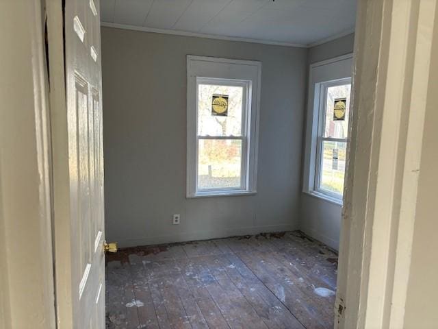 unfurnished room with wood-type flooring and crown molding