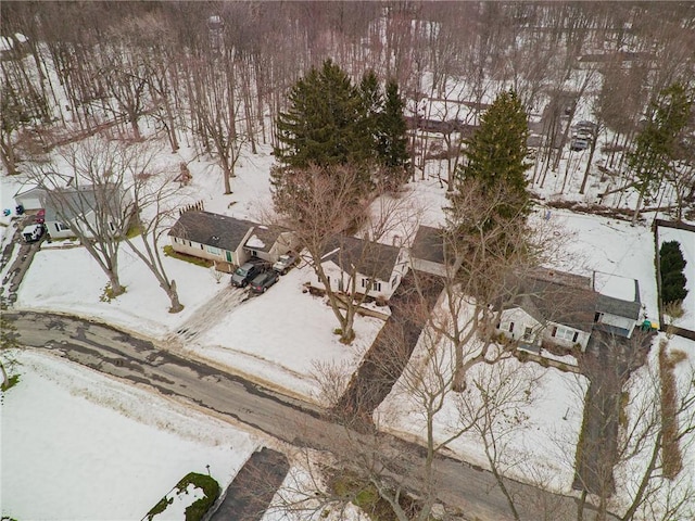 view of snowy aerial view