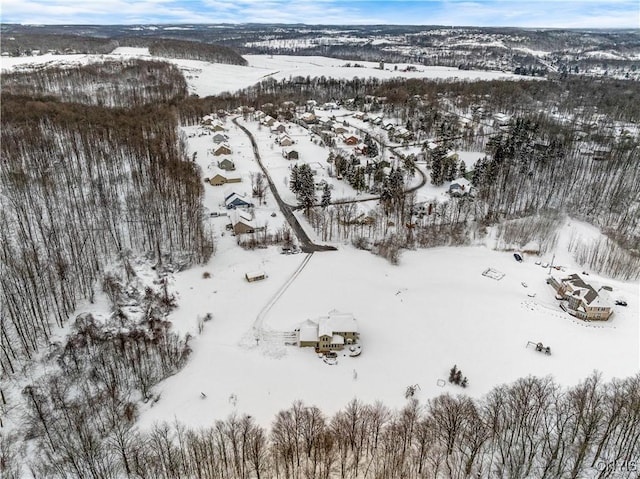 view of snowy aerial view