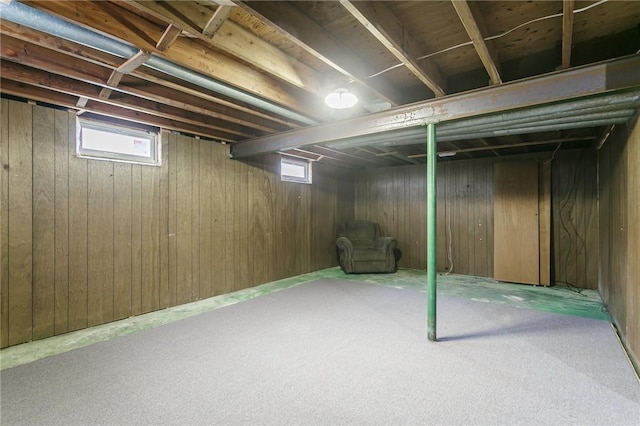 basement with carpet floors, wood walls, and a wealth of natural light