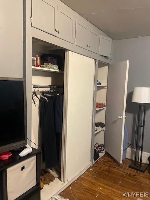 view of closet