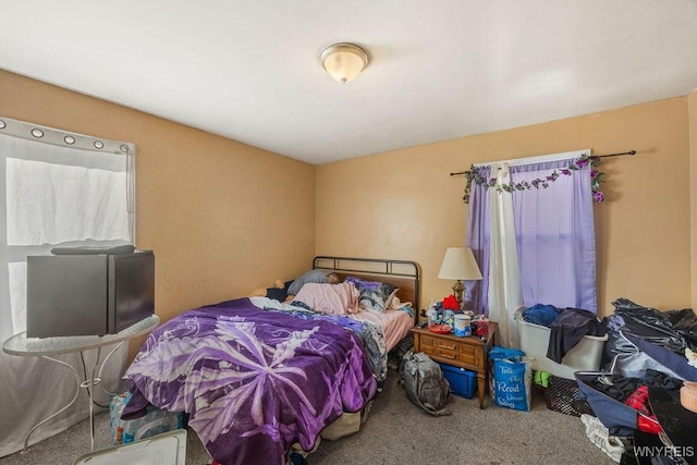 bedroom with carpet floors