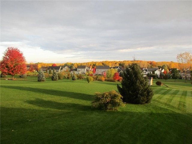 view of home's community with a yard and a residential view