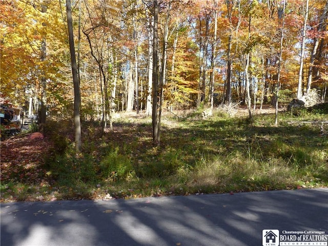 Scandia Dr, Ellery NY, 14712 land for sale