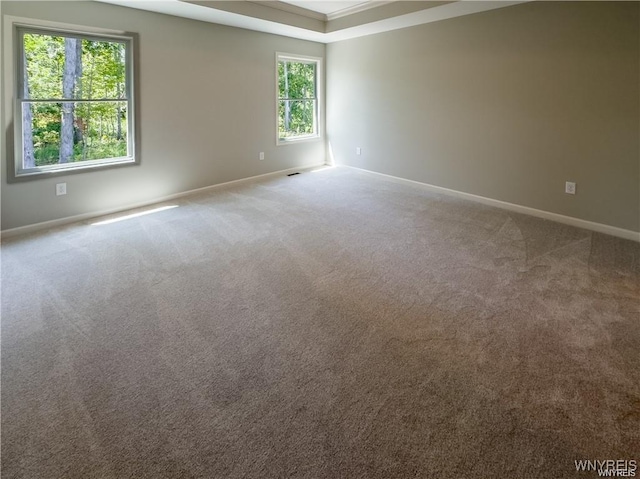 carpeted empty room with baseboards